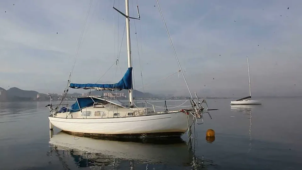 Amigo 27 — fotografia velierului