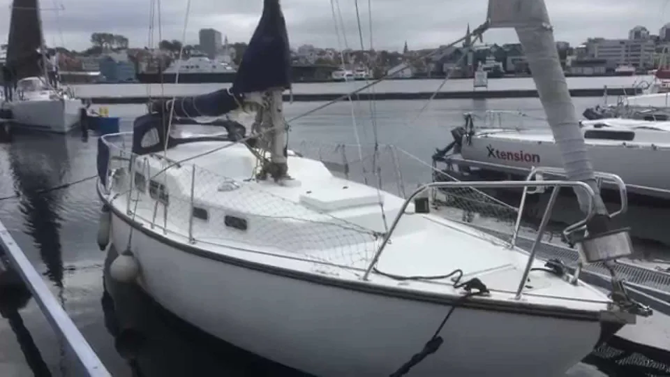 Alo 28 — foto della barca