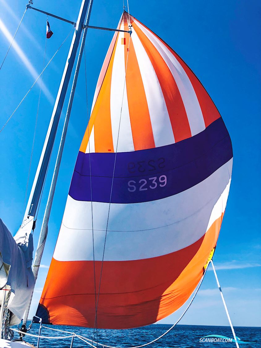 Shipman 28 with outboard engine Tohatsu (it was serviced couple of