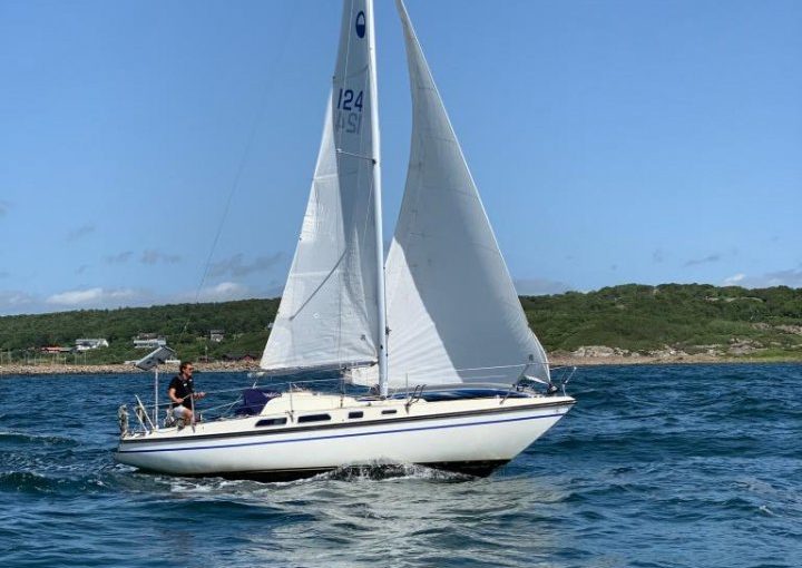 Smiling 28 With An Updated Motor Yanmar 1gm10 For 4000 Euro Examples Of Sailboats From 1000 Euro