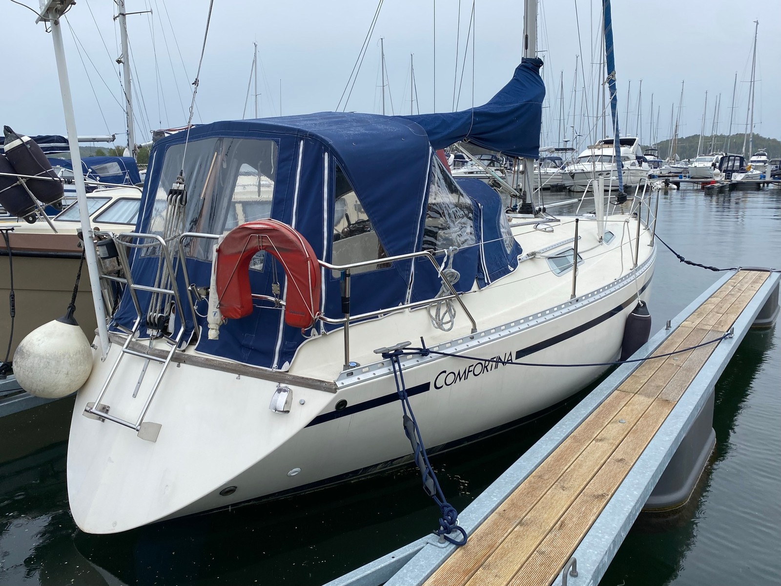 comfortina 32 sailboat