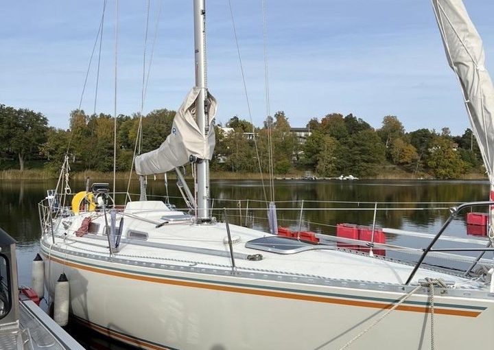 Gambler 35