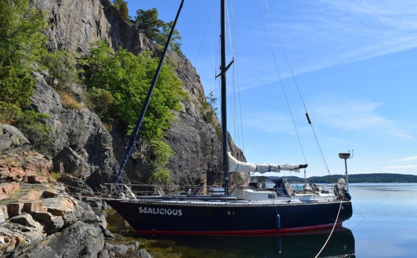 Van De Stadt 36 Zeehond for 33 700 euros!