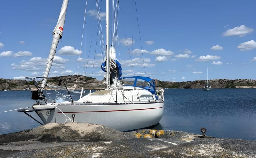 Albin 79 for 3000 euro.